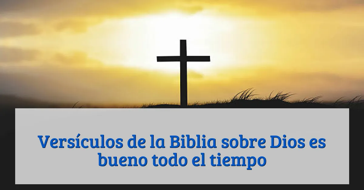 Versículos de la Biblia sobre Dios es bueno todo el tiempo