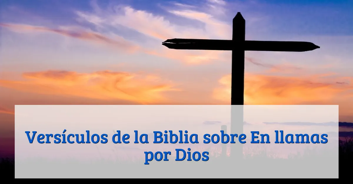 Versículos de la Biblia sobre En llamas por Dios