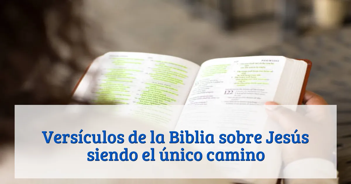 Versículos de la Biblia sobre Jesús siendo el único camino