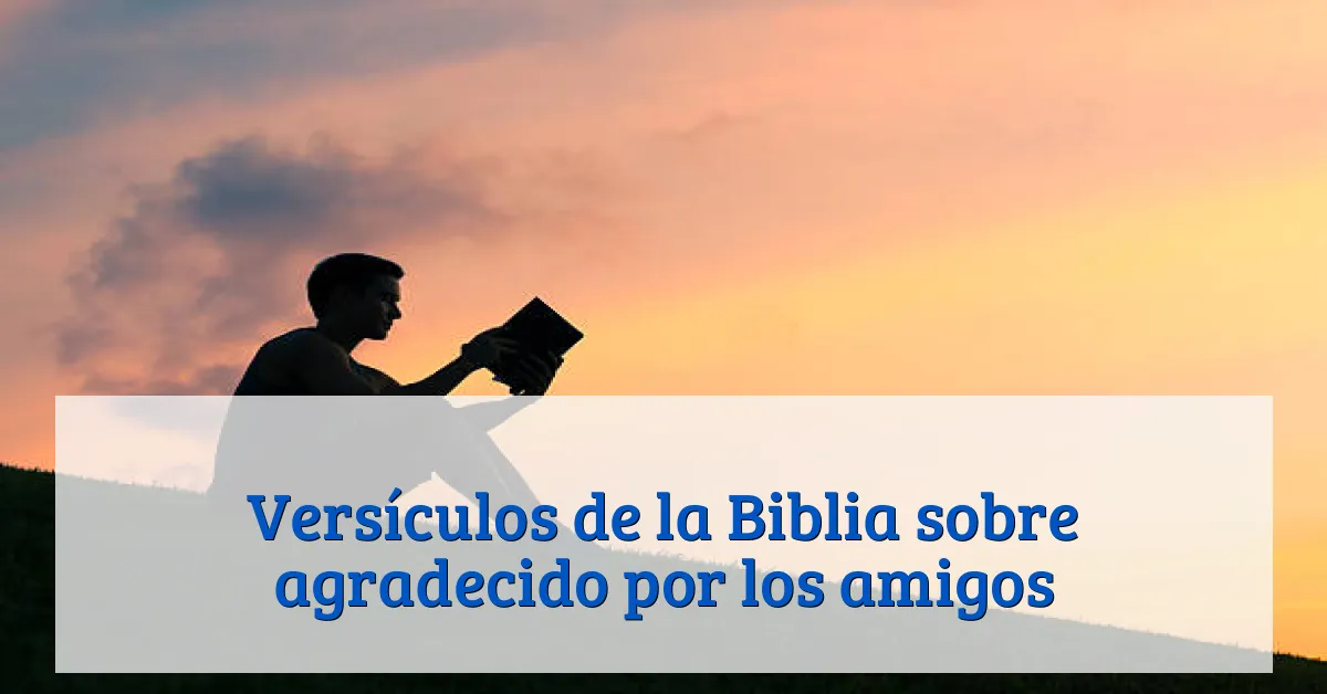 Versículos de la Biblia sobre agradecido por los amigos