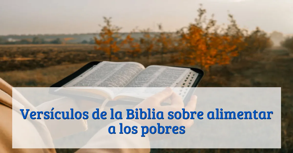 Versículos de la Biblia sobre alimentar a los pobres