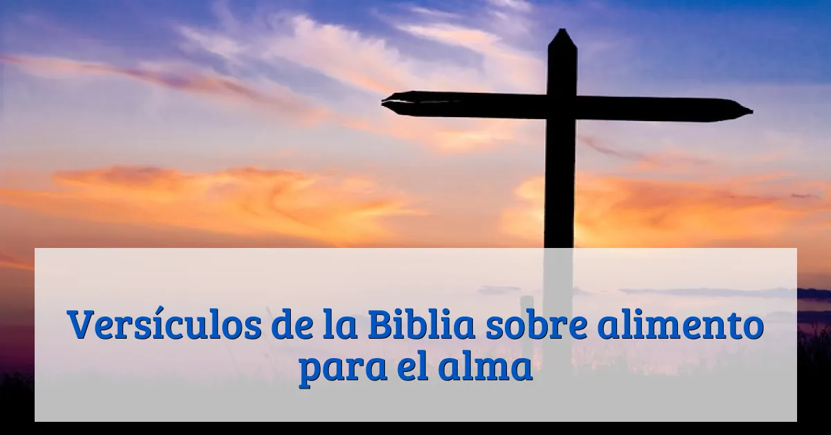 Versículos de la Biblia sobre alimento para el alma