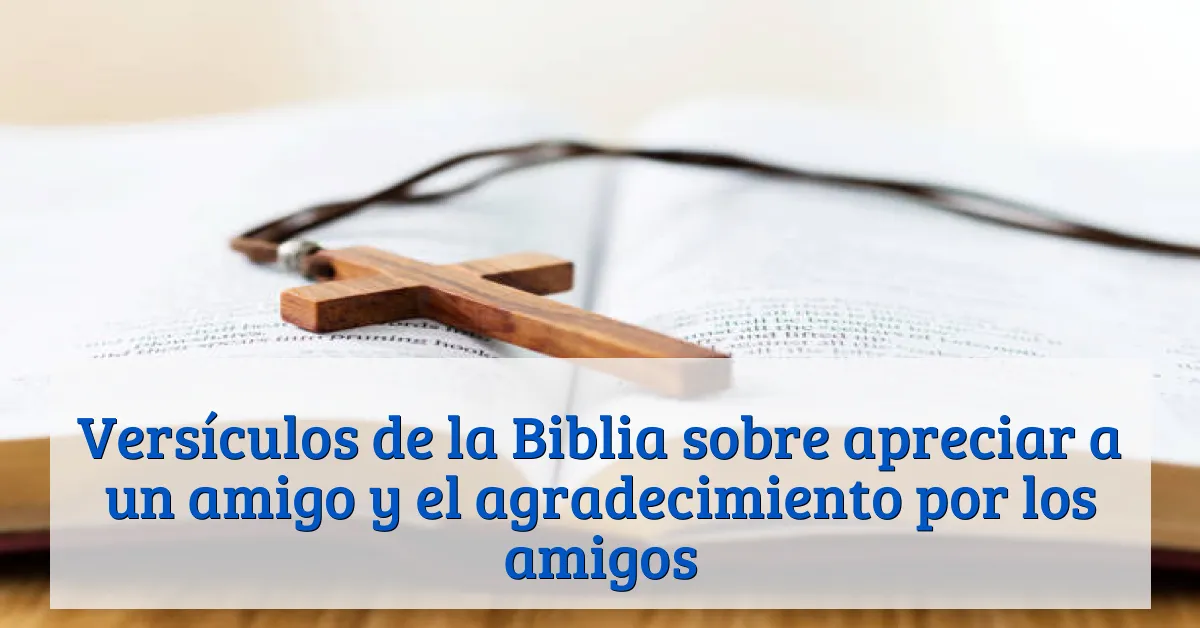 Versículos de la Biblia sobre apreciar a un amigo y el agradecimiento por los amigos