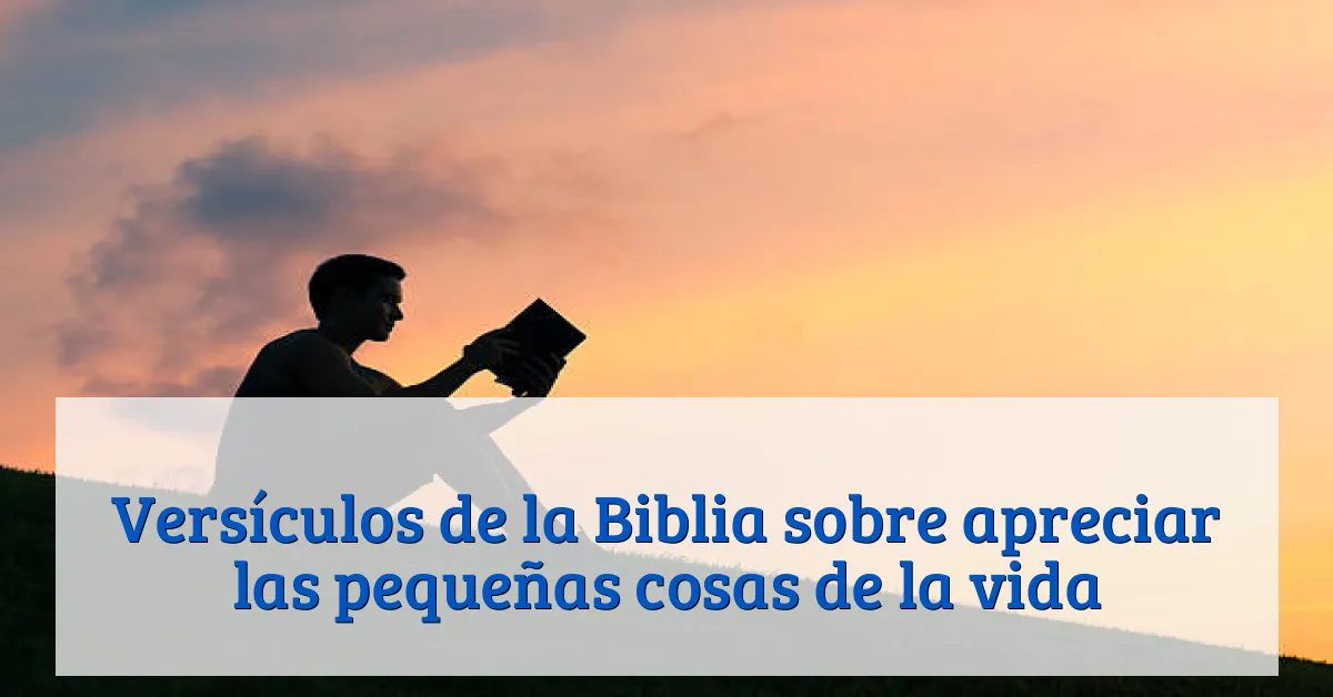 Versículos de la Biblia sobre apreciar las pequeñas cosas de la vida