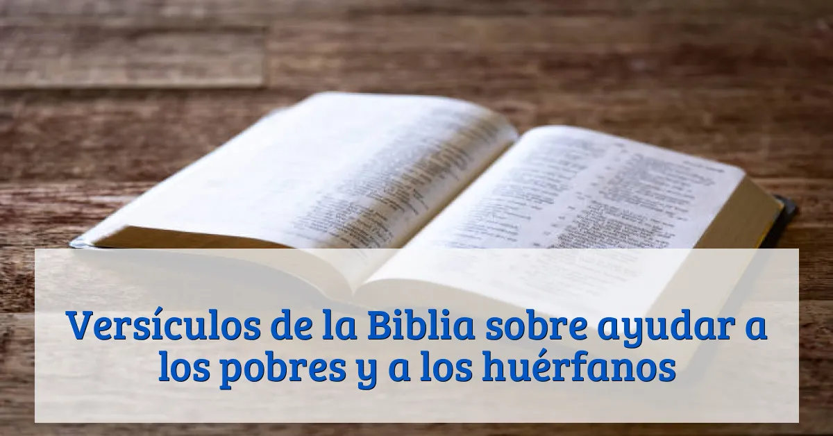 Versículos de la Biblia sobre ayudar a los pobres y a los huérfanos