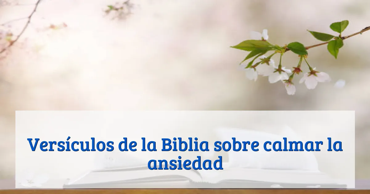Versículos de la Biblia sobre calmar la ansiedad