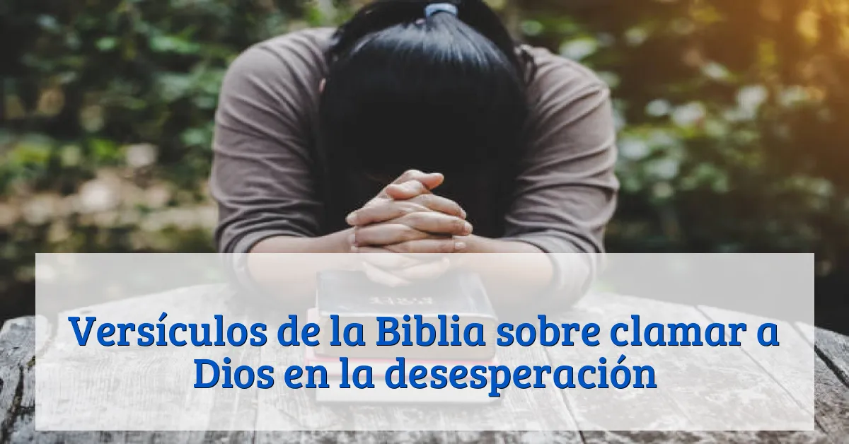 Versículos de la Biblia sobre clamar a Dios en la desesperación