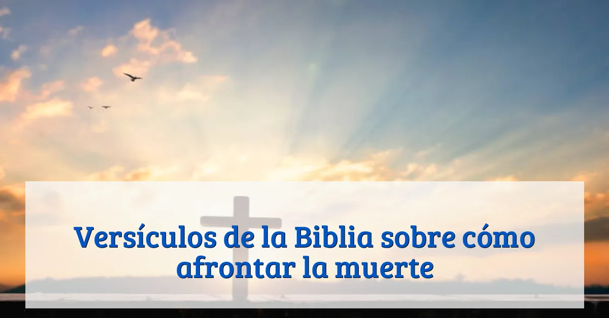 Versículos de la Biblia sobre cómo afrontar la muerte