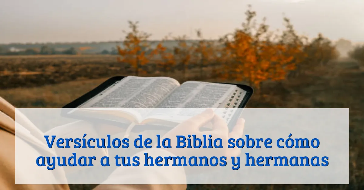 Versículos de la Biblia sobre cómo ayudar a tus hermanos y hermanas