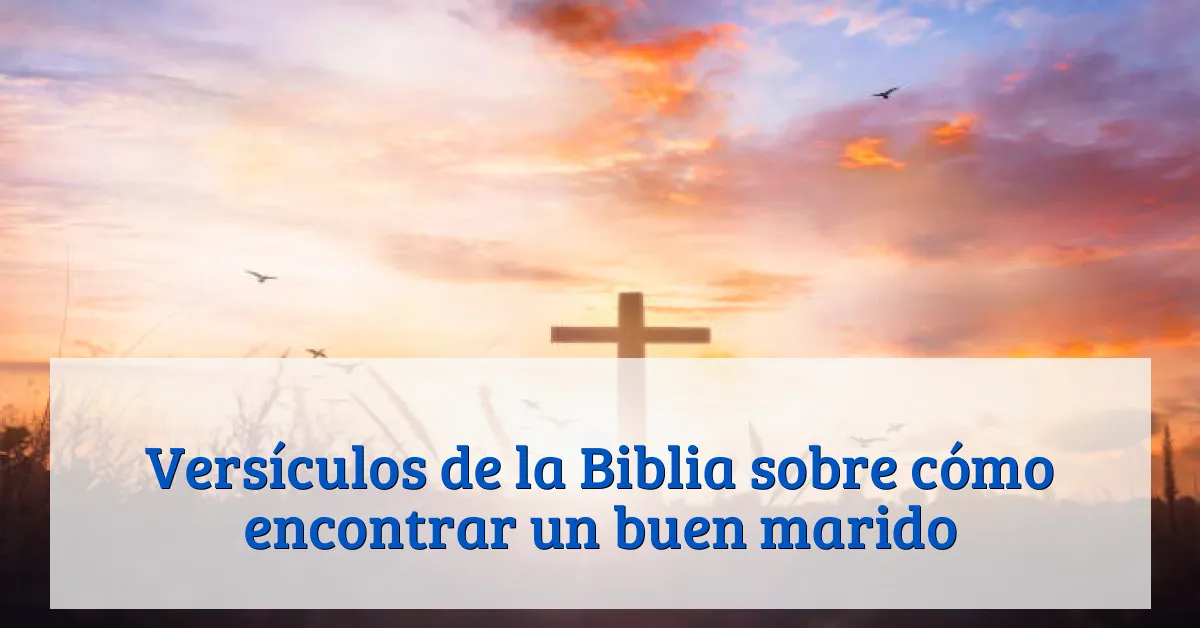 Versículos de la Biblia sobre cómo encontrar un buen marido