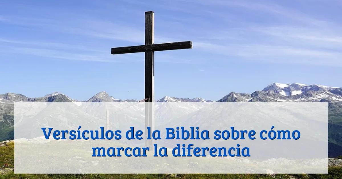 Versículos de la Biblia sobre cómo marcar la diferencia