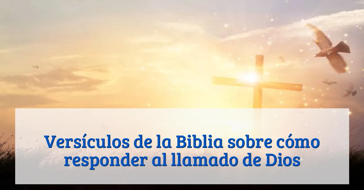 Versículos de la Biblia sobre cómo responder al llamado de Dios
