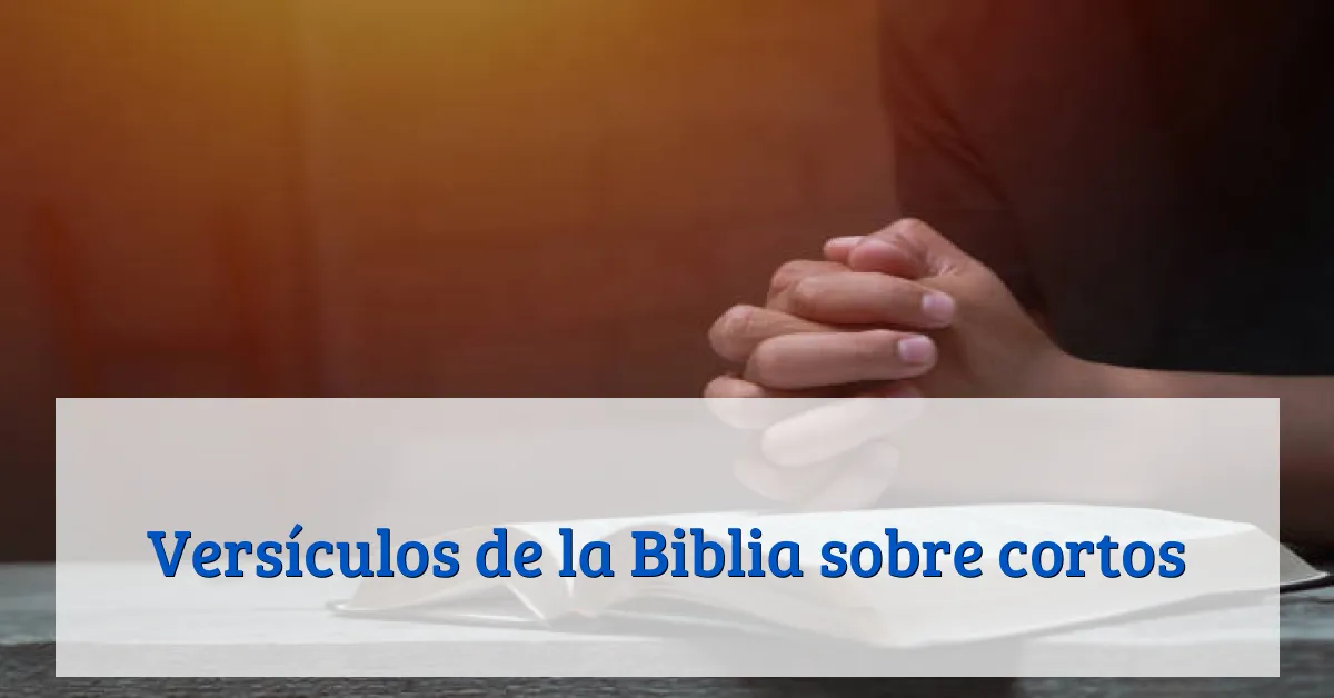 Versículos de la Biblia sobre cortos