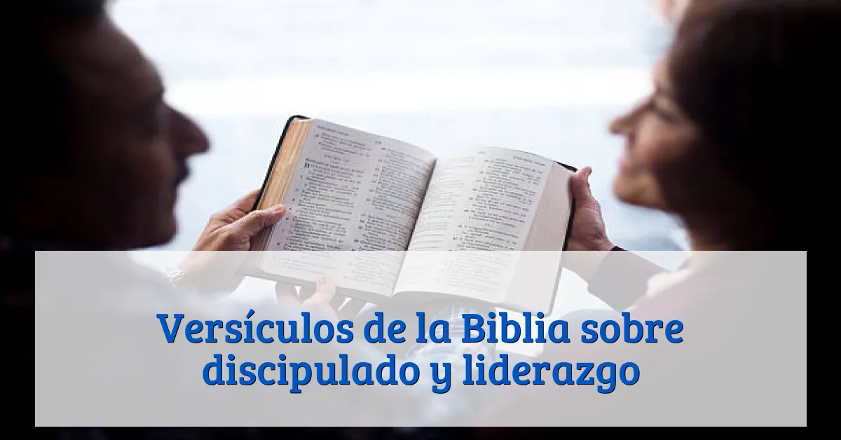 Versículos de la Biblia sobre discipulado y liderazgo