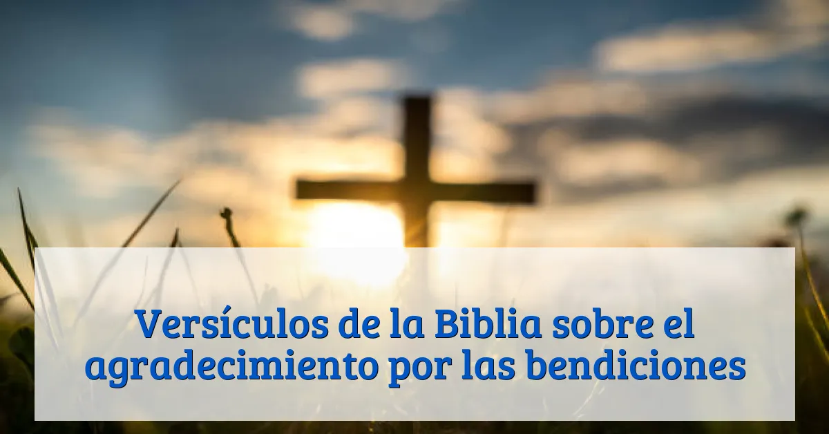Versículos de la Biblia sobre el agradecimiento por las bendiciones