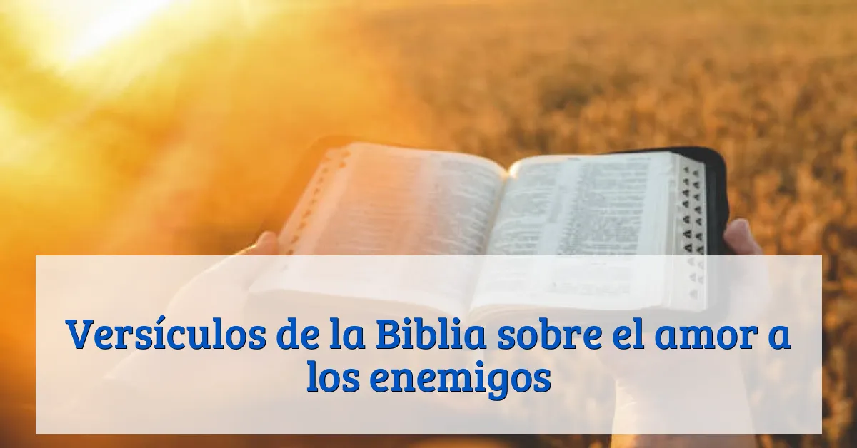 Versículos de la Biblia sobre el amor a los enemigos