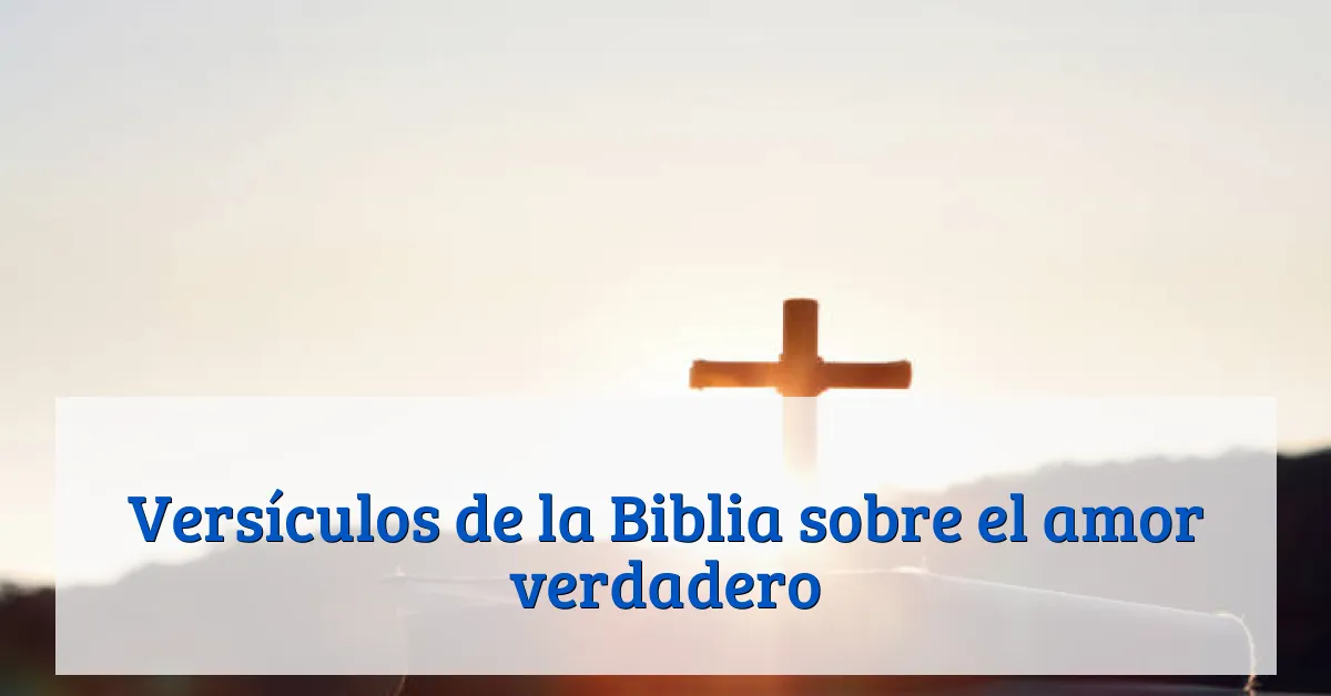 Versículos de la Biblia sobre el amor verdadero
