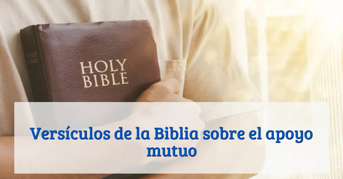 Versículos de la Biblia sobre el apoyo mutuo