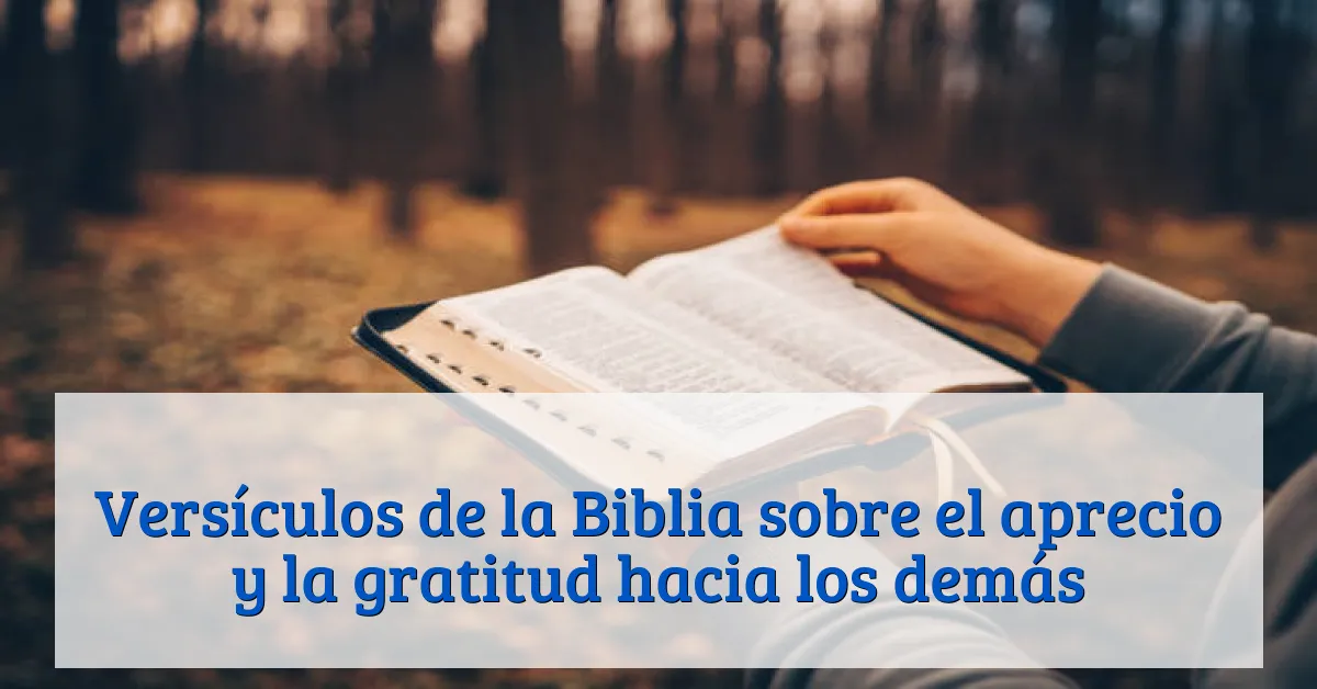 Versículos de la Biblia sobre el aprecio y la gratitud hacia los demás