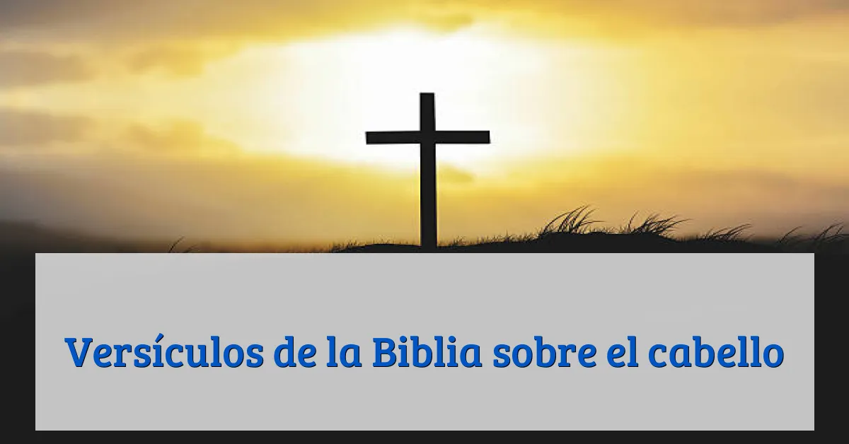 Versículos de la Biblia sobre el cabello