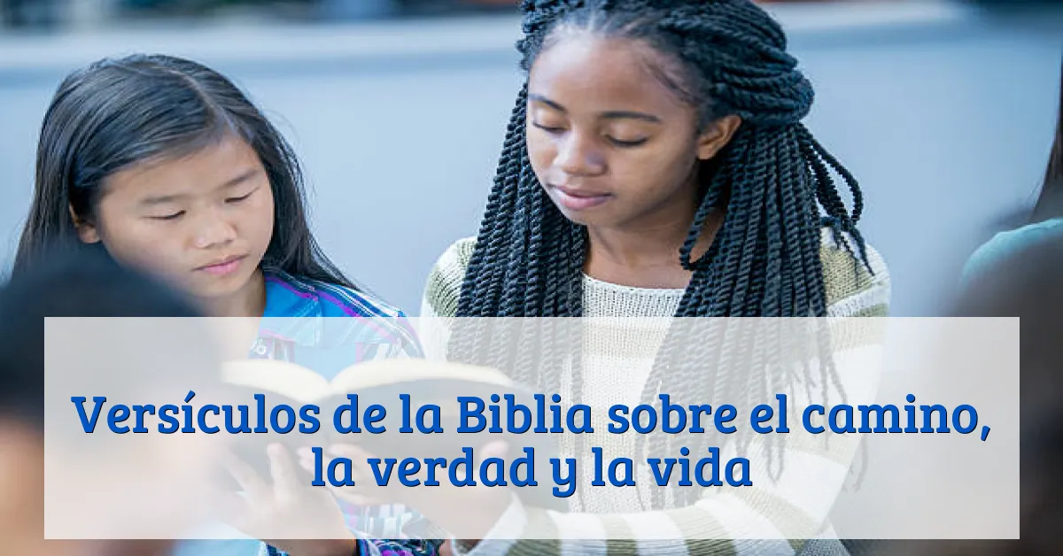 Versículos de la Biblia sobre el camino, la verdad y la vida