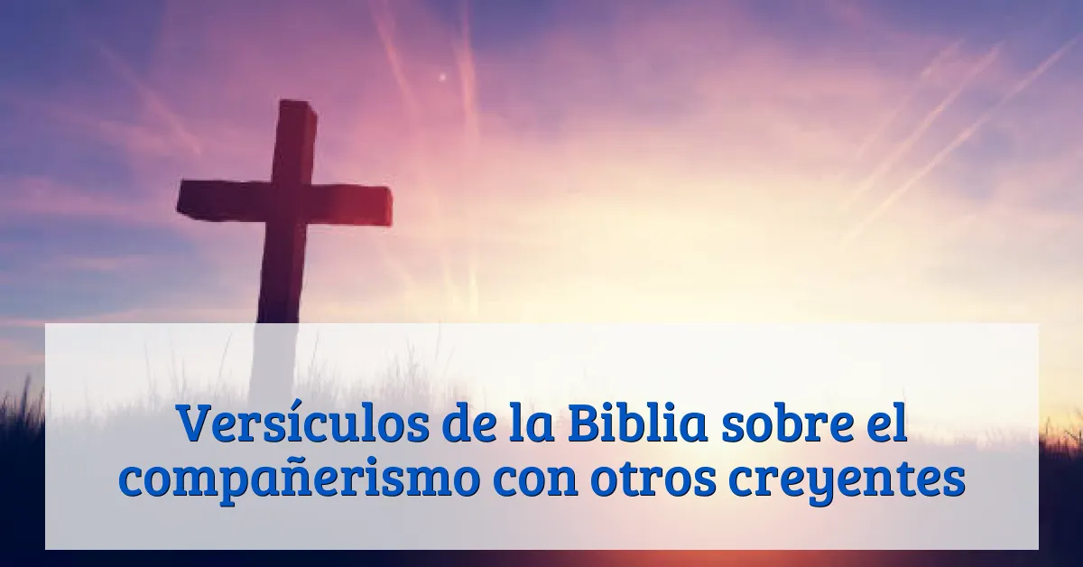 Versículos de la Biblia sobre el compañerismo con otros creyentes