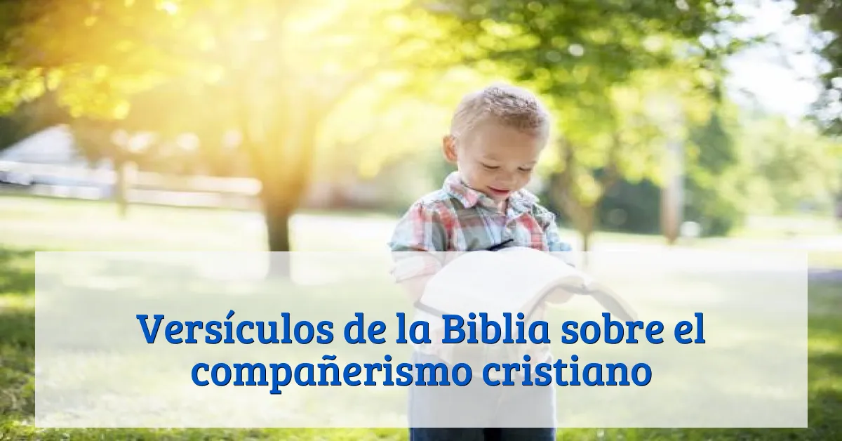 Versículos de la Biblia sobre el compañerismo cristiano