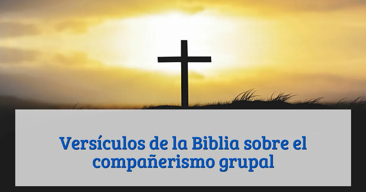 Versículos de la Biblia sobre el compañerismo grupal