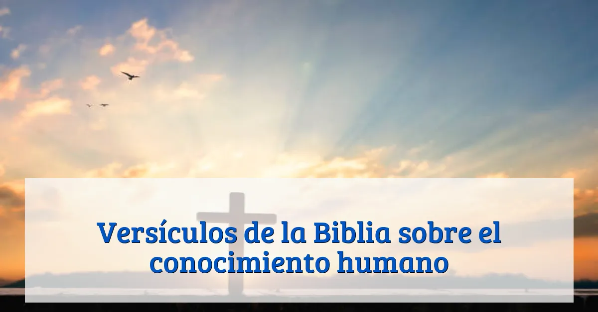 Versículos de la Biblia sobre el conocimiento humano