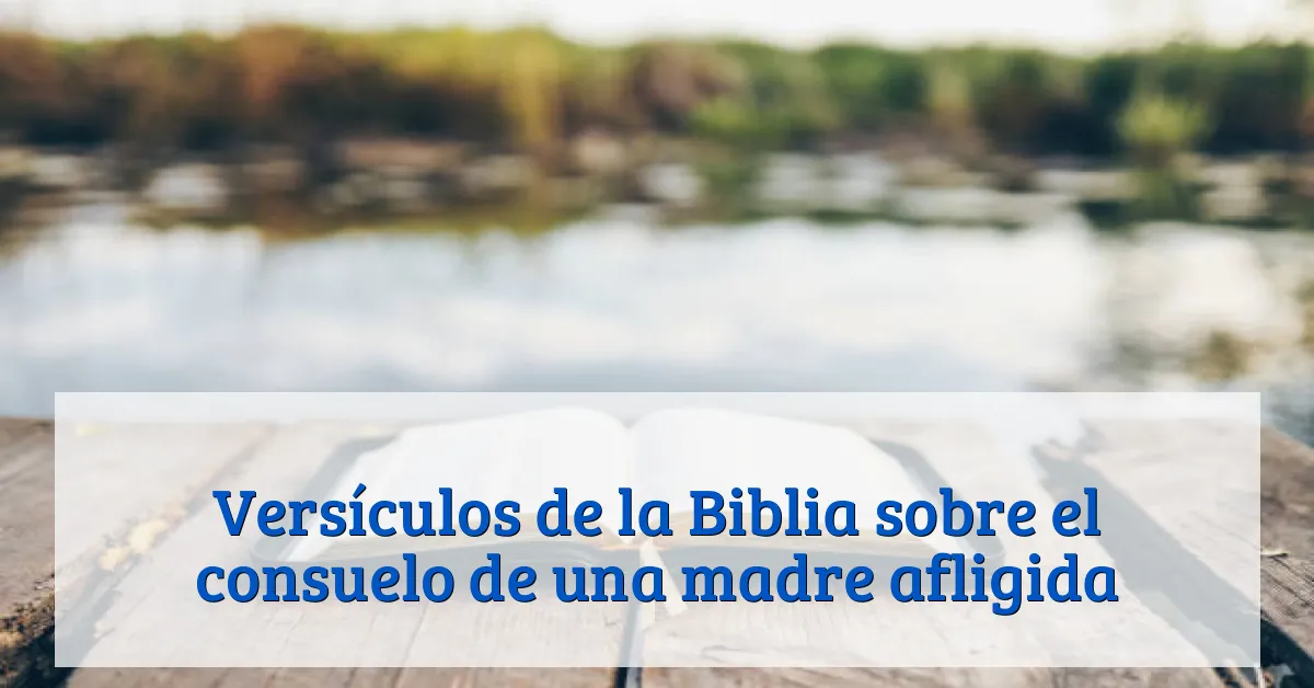Versículos de la Biblia sobre el consuelo de una madre afligida