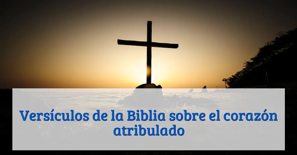 Versículos de la Biblia sobre el corazón atribulado