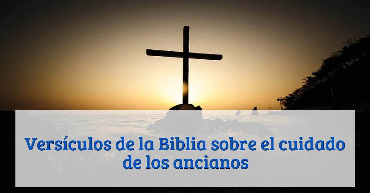 Versículos de la Biblia sobre el cuidado de los ancianos