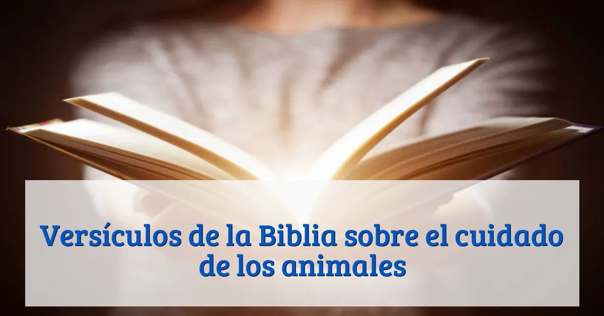 Versículos de la Biblia sobre el cuidado de los animales