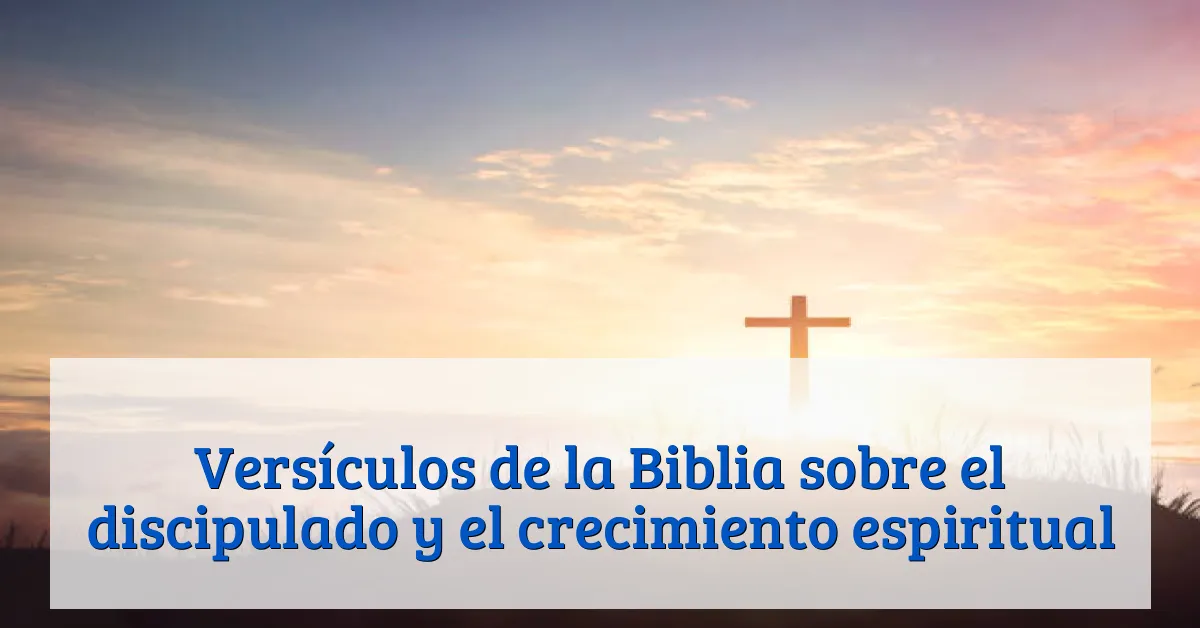 Versículos de la Biblia sobre el discipulado y el crecimiento espiritual
