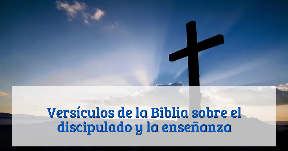 Versículos de la Biblia sobre el discipulado y la enseñanza