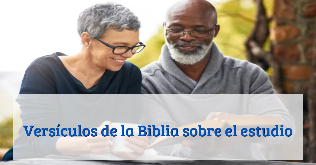 Versículos de la Biblia sobre el estudio