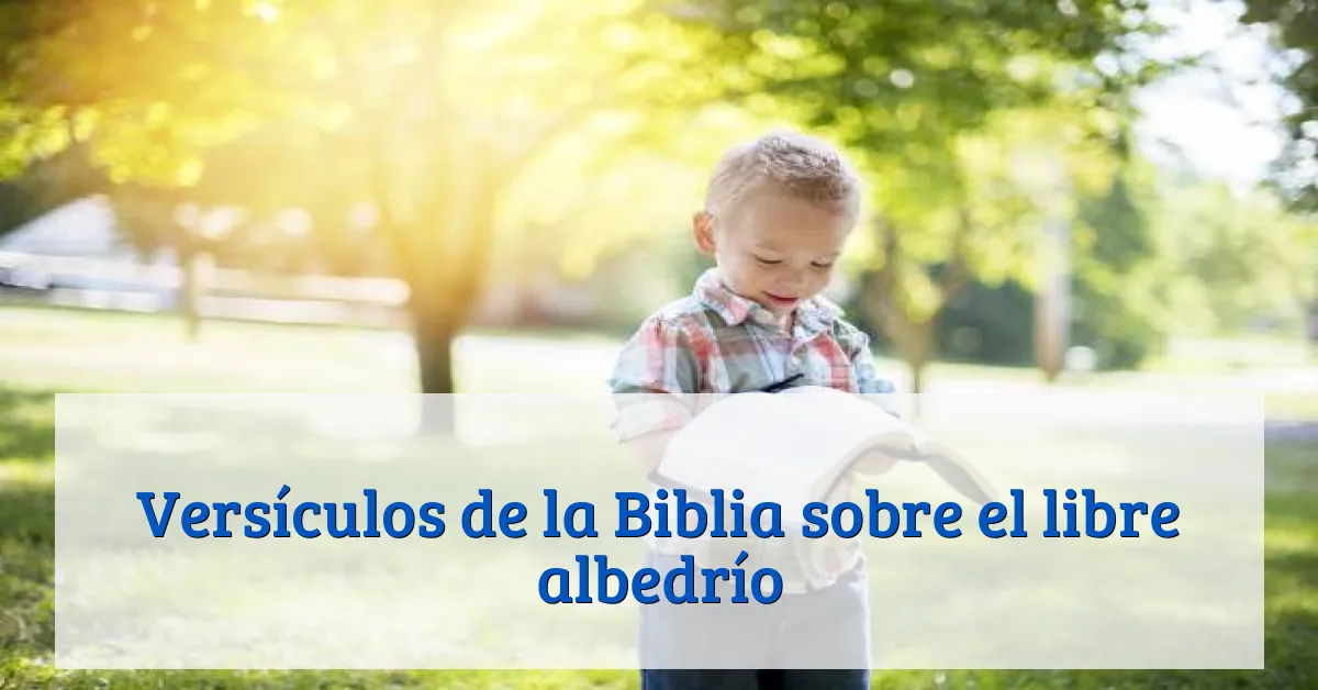 Versículos de la Biblia sobre el libre albedrío