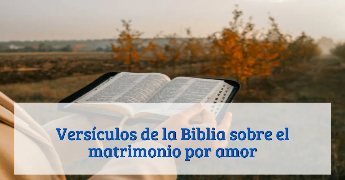 Versículos de la Biblia sobre el matrimonio por amor