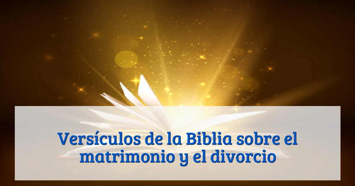 Versículos de la Biblia sobre el matrimonio y el divorcio