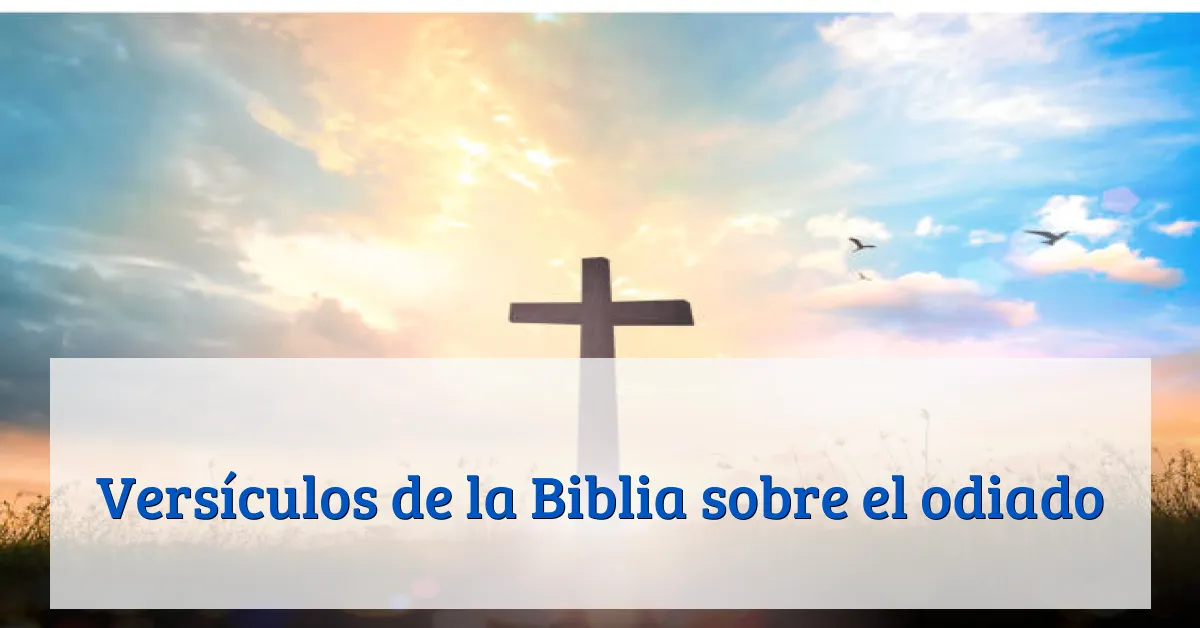 Versículos de la Biblia sobre el odiado