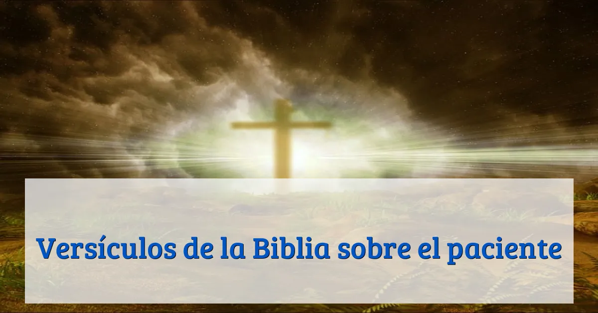Versículos de la Biblia sobre el paciente