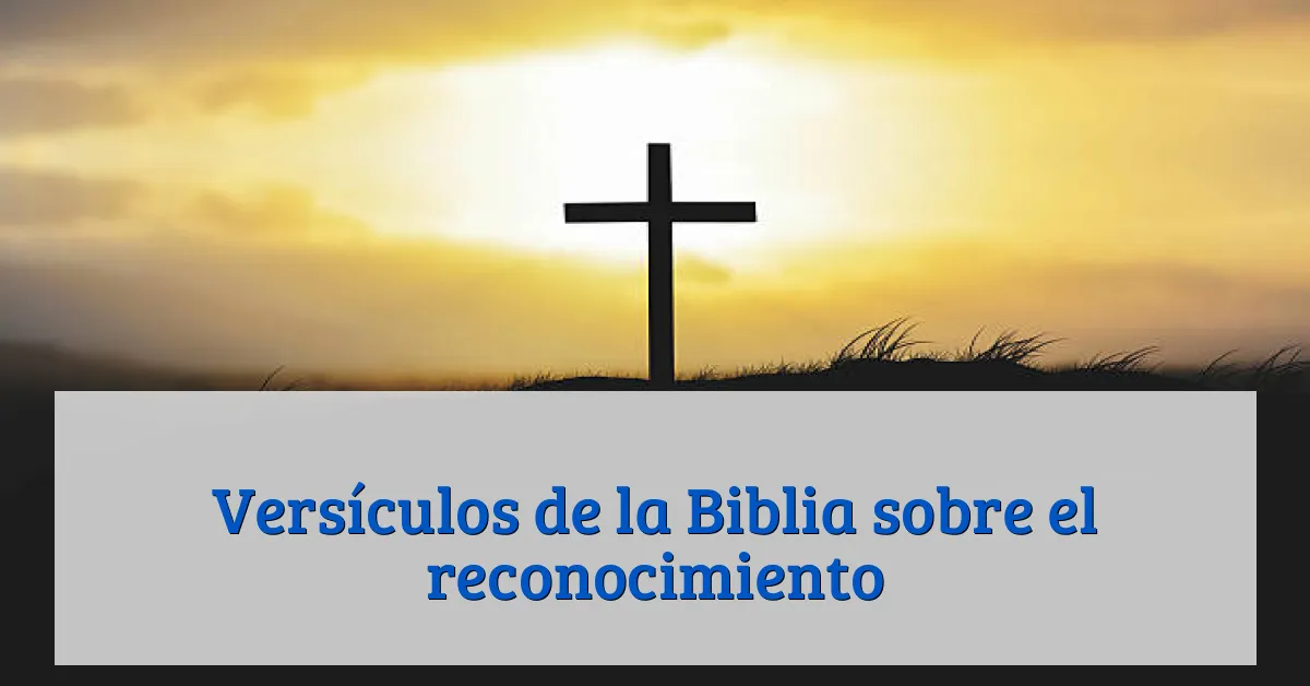 Versículos de la Biblia sobre el reconocimiento