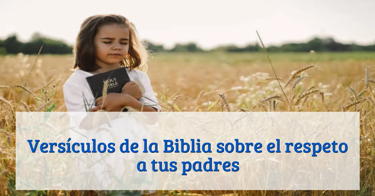 Versículos de la Biblia sobre el respeto a tus padres