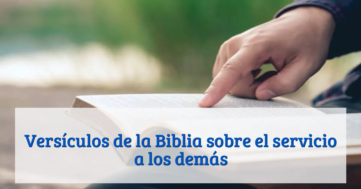 Versículos de la Biblia sobre el servicio a los demás