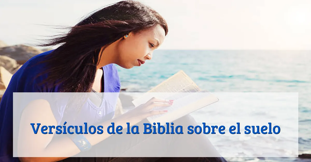 Versículos de la Biblia sobre el suelo
