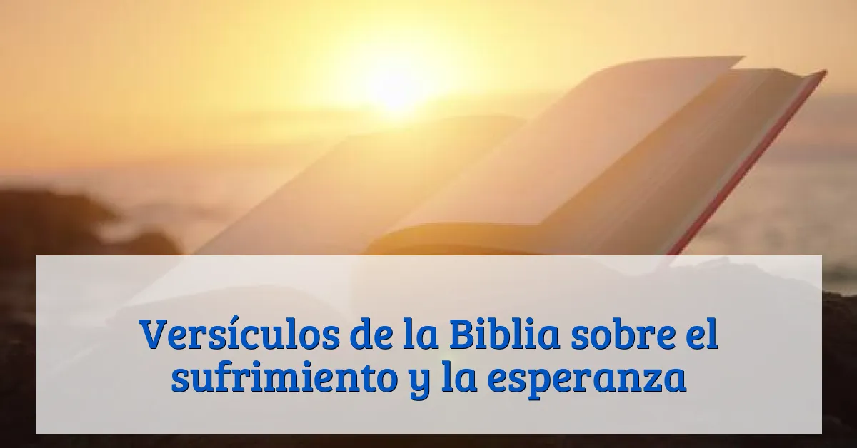 Versículos de la Biblia sobre el sufrimiento y la esperanza