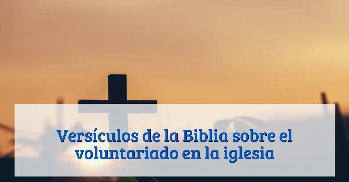 Versículos de la Biblia sobre el voluntariado en la iglesia