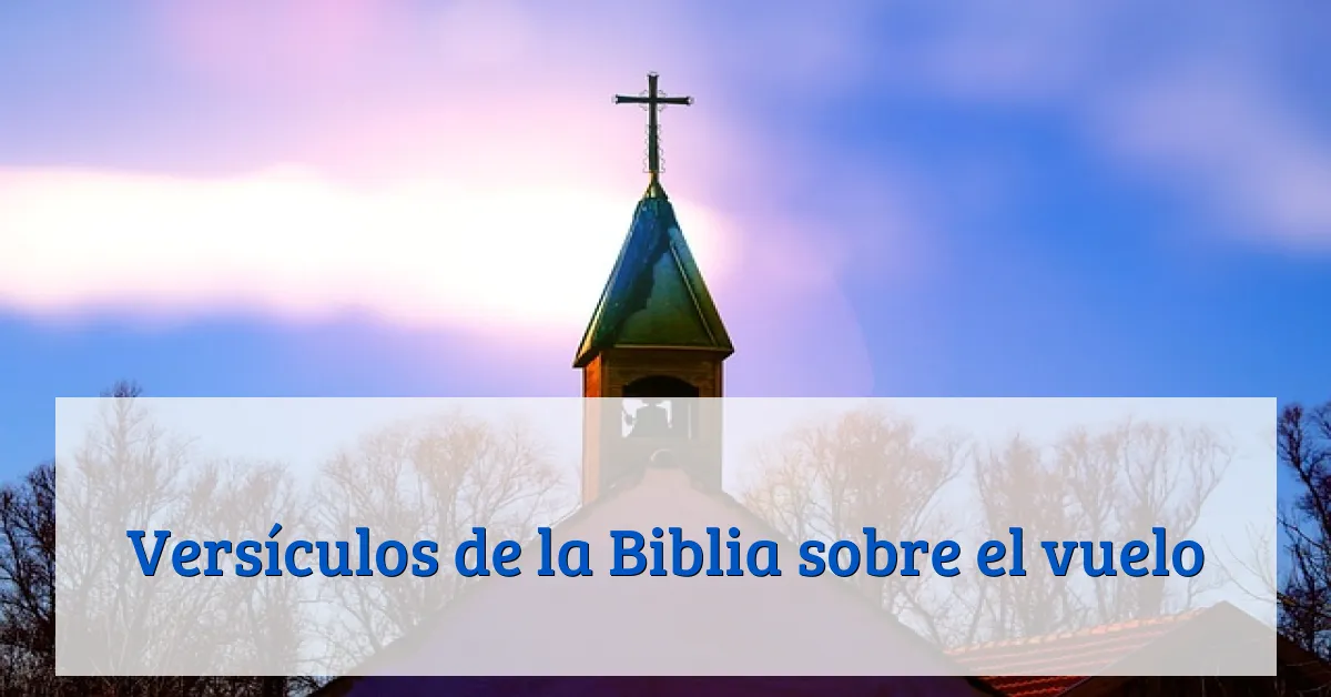 Versículos de la Biblia sobre el vuelo