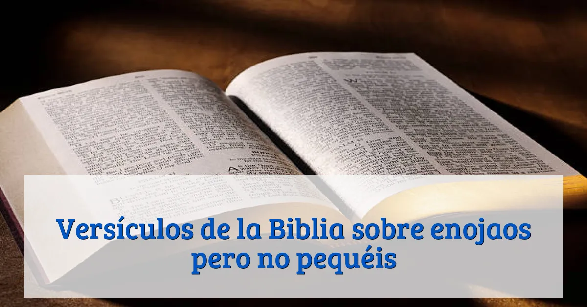 Versículos de la Biblia sobre enojaos pero no pequéis
