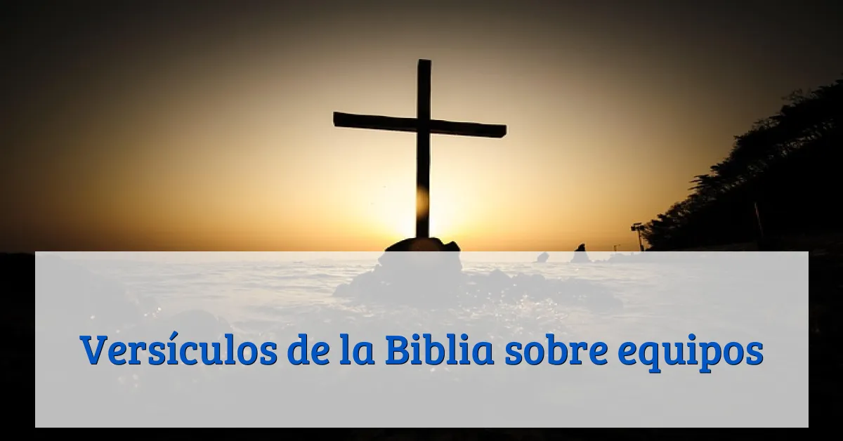 Versículos de la Biblia sobre equipos